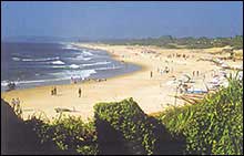 Travel through India with Royal Indian Holidays.   Vacations and Tours in the land of the Maharajas. The Temple trail of South India, Backwater cruises in Kerala on traditional houseboats or Kettuvallams, the golden beaches of Kovalam, Varkala and Cherai and the Romantic Hill  Station of Munnar are all unforgettable experiences.